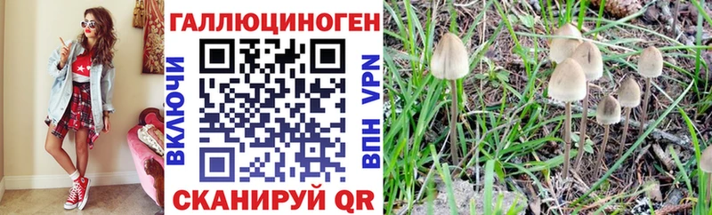 Псилоцибиновые грибы Psilocybe Оха